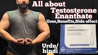 Testosterone Enanthate Uses  Side effects  Benefits UrduHindi [upl. by Sublett]