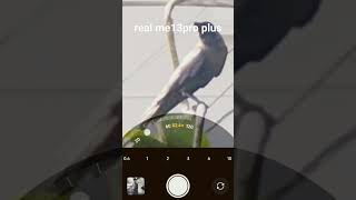 real me 13pro plus pokzoommeeting realme videoshort 4kfullscreenstatus subscribemychannel [upl. by Hitchcock]