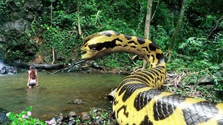 ലോകത്തിലെ ഏറ്റവും വലിയ പാമ്പ്🐍😱 Biggest Snakes In The World Ever Found  Storify [upl. by Nowed]