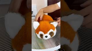 Watch the magic flip From panda to red panda – double the fun in one plush🐼➡️🦊 [upl. by Lotsirk]