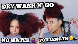 DRY WASH N GO ON STRETCHED HAIR  NO WATER 🙅🏽‍♀️ [upl. by Alikee92]