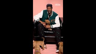 The biggest dog Snoop Dogg plays with baby dogs 🥹  Snoop Dogg with Puppies [upl. by Sabino768]