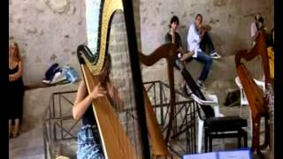 Pozzoli Etude no21 for harp [upl. by Ahsilrak]