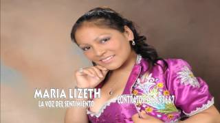 MARIA LIZETH LA VOZ DEL SENTIMIENTO mix puñuychallay tunaschata munayman [upl. by Townshend957]