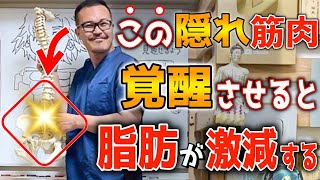 【魔法の筋肉で痩せまくる】コレ3分やると！脂肪燃焼・お腹足痩せ｜内臓脂肪中性脂肪 減少｜腰痛・股関節痛・膝痛・坐骨神経痛・脊柱管狭窄症もすべて解消する『コルセット筋』ダイエットとは？ [upl. by Cressida783]