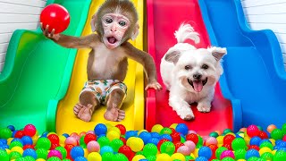 KiKi Monkey swimming at Ball Pit Pool and Rainbow Waterslide with Ducklings  KUDO ANIMAL KIKI [upl. by Airbmac]