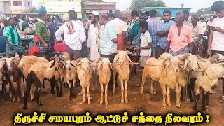 Samayapuram goat market [upl. by Utas]