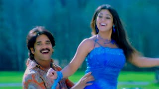 Andagadu Muttukunte Video Song  Boss Movie  Nagarjuna Nayanthara  VolgaMusicBox [upl. by Negem213]