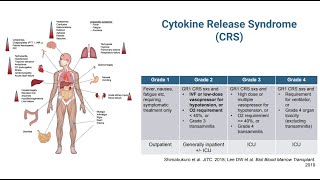 UromigosLive24 T Cell Directed Therapy Panel Part 1 T Cell Engagers and Cytokine Release Syndrome [upl. by Kirre]