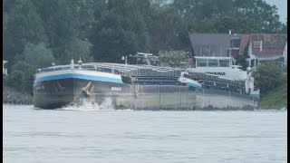 147 Shipspotting Binnenschiffe auf dem Rhein  GMS Linz am Eicher See [upl. by Atteiram781]