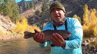 Trippin on Trout East Fork Carson River Markleeville California [upl. by Melentha]