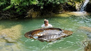 The girl excitedly dived into the water and caught the giant clam harvesting its sparkling pearls [upl. by Ajnat]