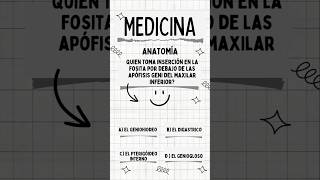 Quién toma inserción en la fosita por debajo de las Apófisis Geni del Maxilar Inferior anatomia [upl. by Chien]