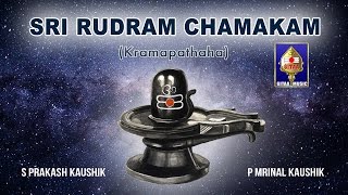 Sri Rudram Chamakam  S Prakash Kaushik amp P Mrinal Kaushik  Powerful Vedic Chants for Prosperity [upl. by Nauqal]