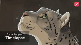 Drawing a Snow Leopard  Infinite Painter Timelapse  Tab S7 FE [upl. by Ahidam661]