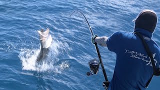 Ribolov na Sejšelima 4  Varaličarenje na moru  Barracuda and Giant Trevally Fishing Seychelles [upl. by Gonta551]