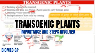 Transgenic plants  Importance and steps involved [upl. by Kauffman]