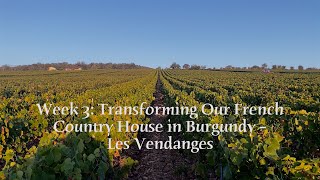 Week 3 Transforming Our French Country House in Burgundy – Les Vendanges [upl. by Hcurab]