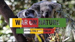 War on Nature  Great Koala National Park [upl. by Yraht517]