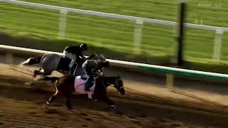 2024 Kentucky Derby amp Kentucky Oaks Handicappers Preview [upl. by Llerrit568]