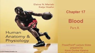 Anatomy and Physiology Chapter 17 Part A Lecture Blood [upl. by Gasser]