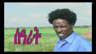 Beraki Gebremedhin  Searit  Eritrean Music [upl. by Gnik371]