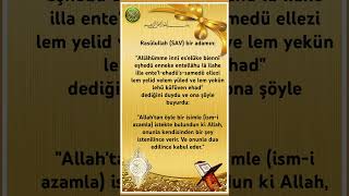 BU DUA İLE ALLAH’TAN İSTEislamicstatus islamic islam allah dua hadis shortvideo keşfet [upl. by Aikenat]