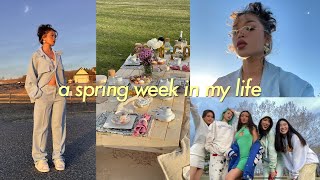 a week in my life VLOG  where im moving plans Dixons bday first picnic with friends [upl. by Aylsworth]