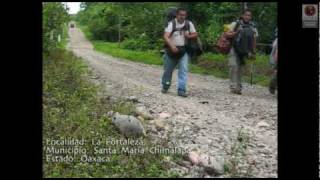 CONABIO  Los Chimalapas  Experiencias de la fotografía de naturaleza [upl. by Aisul240]