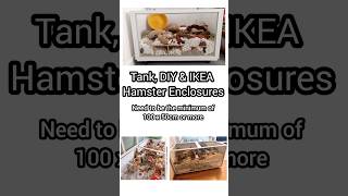 Aquarium Tank DIY amp IKEA Hack Hamster Cages hamstercare largehamstercage ikeahamsterhack [upl. by Ees]