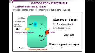 Métabolisme phosphocalcique Pr Nachi [upl. by Shelah714]