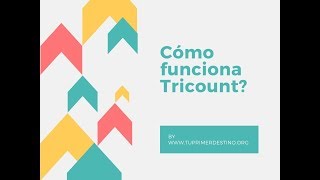 CÓMO FUNCIONA TRICOUNT  APP ÚTIL PARA GASTOS EN TUS VIAJES [upl. by Let]