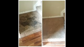 Extremely Soiled Carpet RestorationBio Break Presprayboosted with Grout Master [upl. by Eerdna]