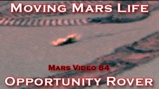 Moving Lifeform Caught by Opportunity Rover on Mars [upl. by Siraved]