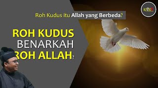 Roh Kudus Sekilas  Tritunggal Trinitas Alkitabiah 44 [upl. by Fabrienne824]