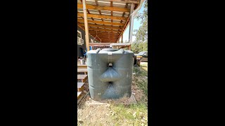 How I Harvest Rainwater With SLIMLINE Tanks shorts [upl. by Selina]