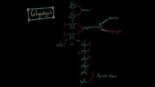 Glycolysis Pathway EVERYTHING YOU NEED TO KNOW BIOCHEMISTRY MCAT [upl. by Gisella]