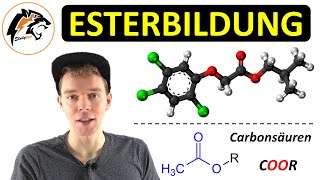 ESTERBILDUNG – Reaktionsmechanismus  Saure Esterhydrolyse  Chemie Tutorial [upl. by Ahsram]