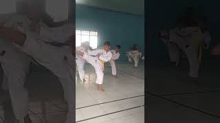 pancak silat [upl. by Silohcin]