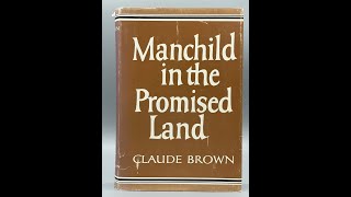 Plot summary “Manchild in the Promised Land” by Claude Brown in 7 Minutes  Book Review [upl. by Slade25]