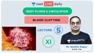 Body Fluids amp Circulation  Lecture 5  Unacademy NEET  LIVE DAILY  NEET Biology  Dr Sachin Kapur [upl. by Nealah744]