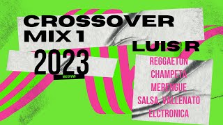 Luis R Crossover Mix  1  2023 Reggaetón Champeta Merengue salsa Vallenato Electrónica [upl. by Neela539]