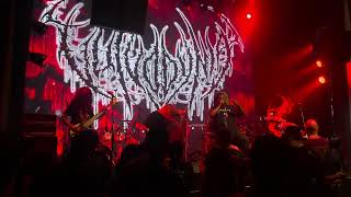 Vulvodynia  NYAOPE  Full of Hell amp Vulvodynia Asian Tour 2024  192024 [upl. by Cherise]