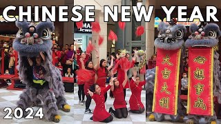 Chinese New Year 2024 at Hillsdale Mall  Year of the Dragon [upl. by Ydnic8]