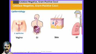 Diagnostic Microbiology StreptococciA [upl. by Hung]