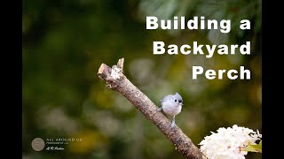 Building a bird perch in your backyard [upl. by Nareik]