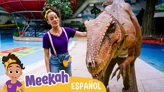 Meekah conoce a Stanley el dinosaurio  💜¡Hola Meekah💜Amigos de Blippi  Videos educativos [upl. by Vanhomrigh712]