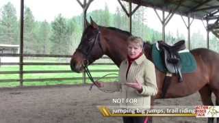 How to Adjust Standing Martingale on Your Horse [upl. by Michelsen251]