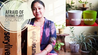 Nurserylivecom Plant Unboxing First Experience Genuine Review Live indoor Plant Online [upl. by Tik]