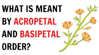 What is meant by acropetal and basipetal order   QnA Explained [upl. by Esiuqram737]